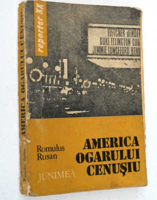America ogarului cenusiu- Romulus Rusan foto