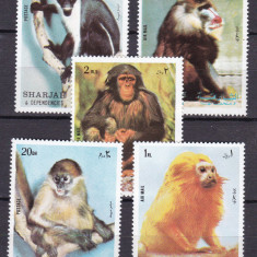 Sharjah 1972 fauna maimute MI 1012-1016 MNH