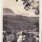 bnk cp Azuga - Vedere generala - circulata 1954