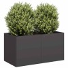 Jardinier negru 80x40x40 cm Oțel laminat la rece