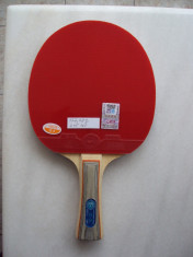 Paleta tenis de masa (lemn 729, fete 729) foto