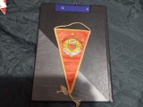 Fanion Manchester United