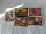 Bnk div - Lot 5 cutii goale de chibrituri - flori - Romania anii `90