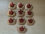 Lot insigne caschetă subofițer URSS