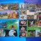 HOPCT LOT NR 475 ANIMALE WW -FAUNA-4 CARTI POSTALE-CIRCULATE