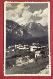 Poiana Țapului