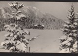 CPIB 22580 - CARTE POSTAL - PREDEAL, CABANA &quot;POIANA SECUILOR&quot;, RPR