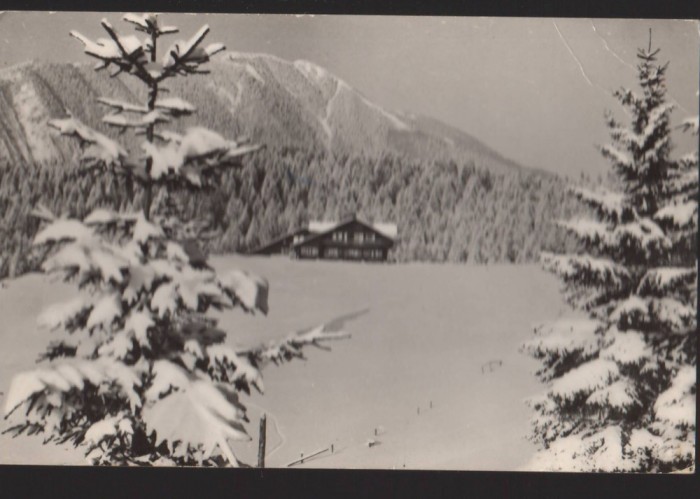 CPIB 22580 - CARTE POSTAL - PREDEAL, CABANA &quot;POIANA SECUILOR&quot;, RPR