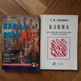S.N. Lazarev - Karma Pura (Polirom, 1998, 296 pag.) + Karma sau armonia dintre fizic, psihic si destin (Moldova, 1994, 197 pag.) diagnosticarea karmei