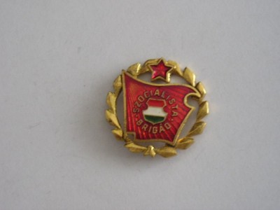 QW9 K 1 - Insigna - tematica militara - comunism - Ungaria foto