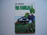 Via familiala - Gherorghe Bernaz, 2000, M.A.S.T.