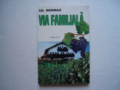 Via familiala - Gherorghe Bernaz