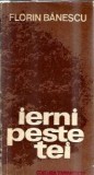 Ierni peste tei Florin Banescu Editura Eminescu 1978 Roman Literatura Romana Editie Veche Carte Clasica