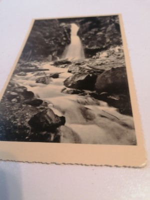 CARTE POSTALA VECHE - POIANA TAPULUI -URLATOAREA , CASCADA URLATOARE, ANII 30 foto