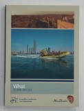 ABU DHABI , WHAT TO SEE AND DO , ANII '2000