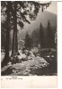 CPIB 15985 CARTE POSTALA - TUSNAD. PE MALUL LACULUI CIUCAS, RPR, Circulata, Fotografie