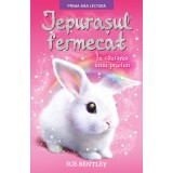 Iepurașul fermecat. &Icirc;n căutarea unui prieten