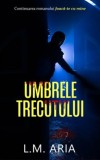 Umbrele trecutului - Mary Jo Putney, Ink Story