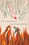 Jan Nepomucki