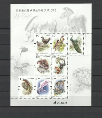 CHINA 2021 FAUNA ANIMALE SI PASARI foto