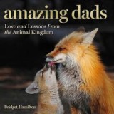 Amazing Dads
