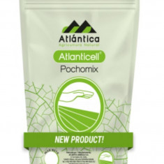 Biostimulator Atlanticell Pochomix 500 gr