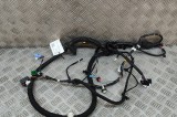 Cablaj ușă dreapta față TESLA MODEL Y 2022 OEM: 1489052-02-E 25291067