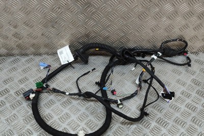 Cablaj ușă dreapta față TESLA MODEL Y 2022 OEM: 1489052-02-E 25291067 foto