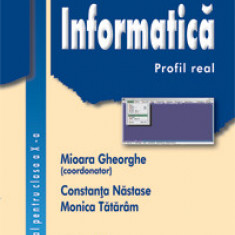 Informatică / profil real - Manual pentru clasa a X-a