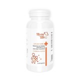 Tablete cu macese, shiitake, vitamina C si D 1000 Mycolife 100 Turbo 30 buc