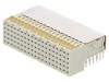 Z-PACK RAF 95P Conector