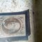 Timbre veci 1860 Americane