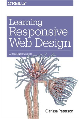Learning Responsive Web Design: A Beginner&amp;#039;s Guide foto
