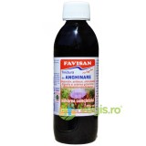 Tinctura de Anghinare 250ml