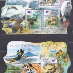 DB1 Fauna Africa Centrala Tigru Varan Elefant Papagali MS + SS MNH