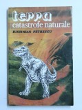 TERRA - CATASTROFE NATURALE de IUSTINIAN PETRESCU , 1993