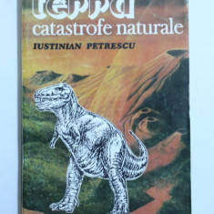 TERRA - CATASTROFE NATURALE de IUSTINIAN PETRESCU , 1993