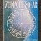 ZODIACUL SOLAR - Cotrobescu