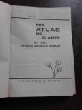 MIC ATLAS DE PLANTE - I. TODOR