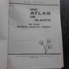 MIC ATLAS DE PLANTE - I. TODOR