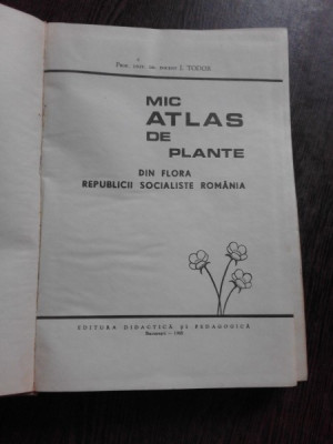 MIC ATLAS DE PLANTE - I. TODOR foto