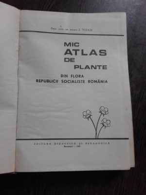 MIC ATLAS DE PLANTE - I. TODOR foto