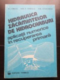 Hidraulica zăcămintelor de hidrocarburi. Aplicații numerice &icirc;n recuperarea primară - I. Crețu, M. E. Ionescu, M. Stoicescu