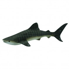 Collecta - Balena rechin