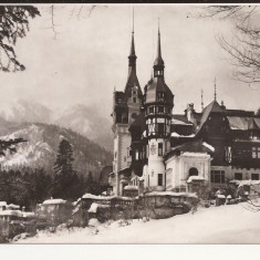 Carte Postala veche - Sinaia, Muzeul Peles, Circulata