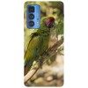 Husa compatibila cu Motorola Edge 20 Lite model Exotic Macaw, Silicon, TPU, Viceversa, Transparent, Carcasa