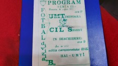 program UM Timisoara - CIL Sighet