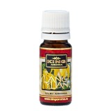 Esenta aromata ylang ylang