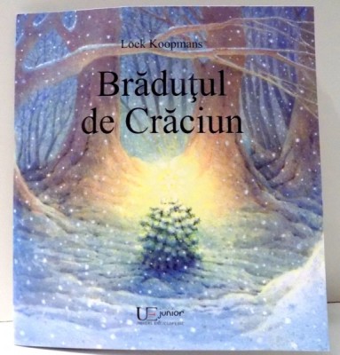 BRADUTUL DE CRACIUN de LOEK KOOPMANS , 2014 foto