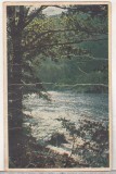 Bnk cp Valea Oltului - Vedere - uzata 1955 - Libraria noastra, Circulata, Printata, Valcea